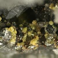 Tellurium & Tellurite