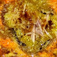 Wölsendorfite Rutherfordine & Uranophane