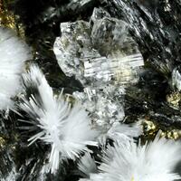 Canavesite & Inderite