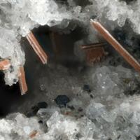 Magnesio-ferri-fluoro-hornblende