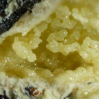 Anthoinite & Hydrokenoelsmoreite