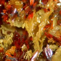 Terlinguaite Montroydite & Eglestonite