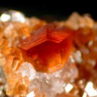 Ganophyllite