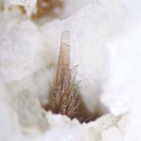 Astrophyllite