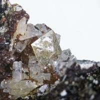 Petersenite-(Ce) Zircon & Albite