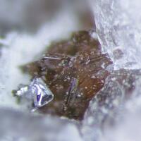 Catapleiite & Galena