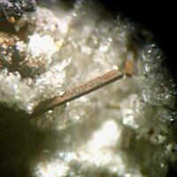 Magnesio-ferri-fluoro-hornblende