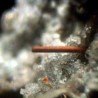 Magnesio-ferri-fluoro-hornblende