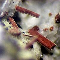 Magnesio-ferri-fluoro-hornblende