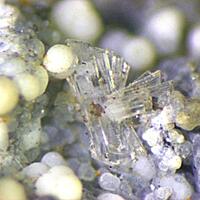 Inderite & Dypingite