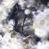 Azoproite & Phlogopite & Enstatite