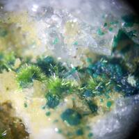 Agardite & Cornwallite
