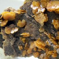 Wulfenite