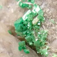 Torbernite & Autunite