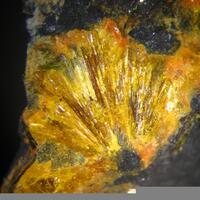 Dumontite & Uraninite