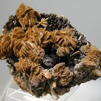 Hydroxylapatite Psm Selenite