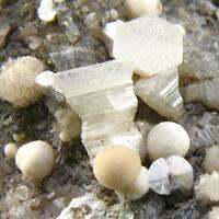 Dresserite & Weloganite