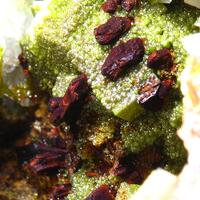 Ferrihydrite Psm Scorodite & Dussertite