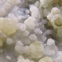 Carbonate-rich Hydroxylapatite