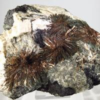 Astrophyllite