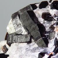 Tetraferriphlogopite