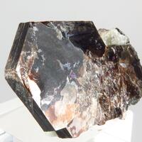 Tetraferriphlogopite