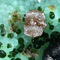 Hechtsbergite & Namibite