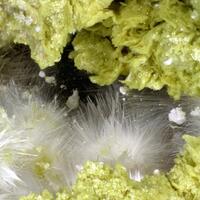 Zincocopiapite & Dietrichite