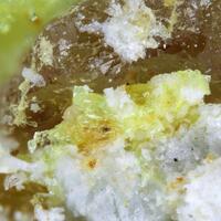 Oppenheimerite Fermiite & Plášilite