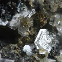 Susannite & Leadhillite