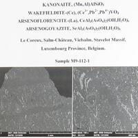 Arsenoflorencite-(La) Arsenogoyazite Kanonaite & Wakefieldite-(Ce)