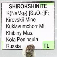 Shirokshinite