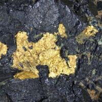 Native Gold On Uraninite