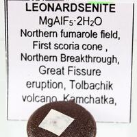 Leonardsenite