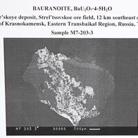 Bauranoite