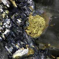 Clausthalite & Native Gold