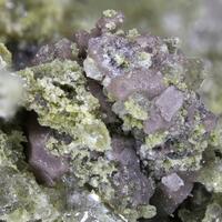 Chlorargyrite & Dussertite