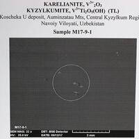 Karelianite & Kyzylkumite