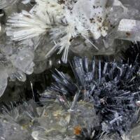 Stibnite & Valentinite