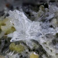 Schultenite