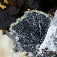 Kidwellite Rockbridgeite Chalcosiderite & Strengite