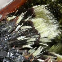 Kidwellite & Rockbridgeite