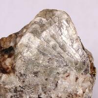 Polylithionite