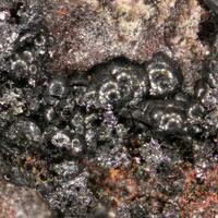 Coffinite & Uraninite