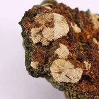 Greifensteinite & Gormanite