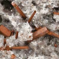 Magnesio-ferri-fluoro-hornblende