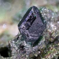 Lammerite