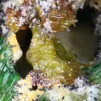 Paralammerite & Lammerite