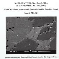 Natrotantite & Tapiolite-(Fe) In Simpsonite