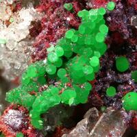 Conichalcite On Cuprite